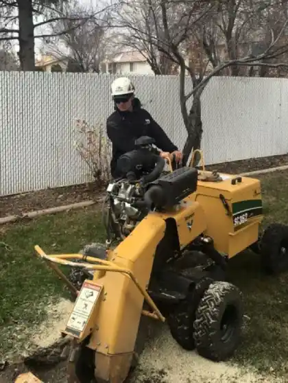 salt lake city stump grinding