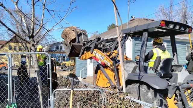 Cottonwood Heights tree removal