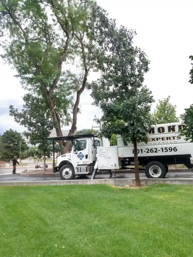 Reliable Tree Care Service
