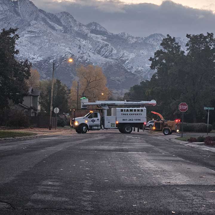 Diamond Tree Experts service truck in Salt Lake City, Utah