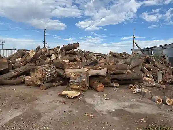 south salt lake tree recycling