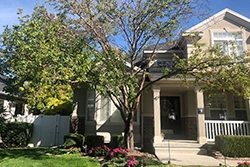tree health care
