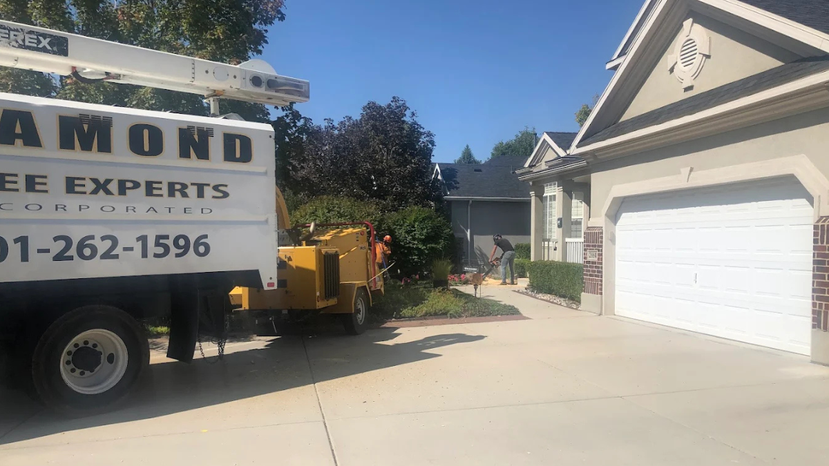 Diamond Tree Experts crew performing residential tree trimming in front of a home driveway in Salt Lake City, Utah, using a professional chipper truck and safety equipment.