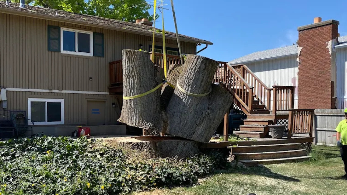 Diamond Tree Experts crew removing a massive tree trunk with crane straps beside a residential deck in Salt Lake City, Utah, as part of a professional tree removal service.