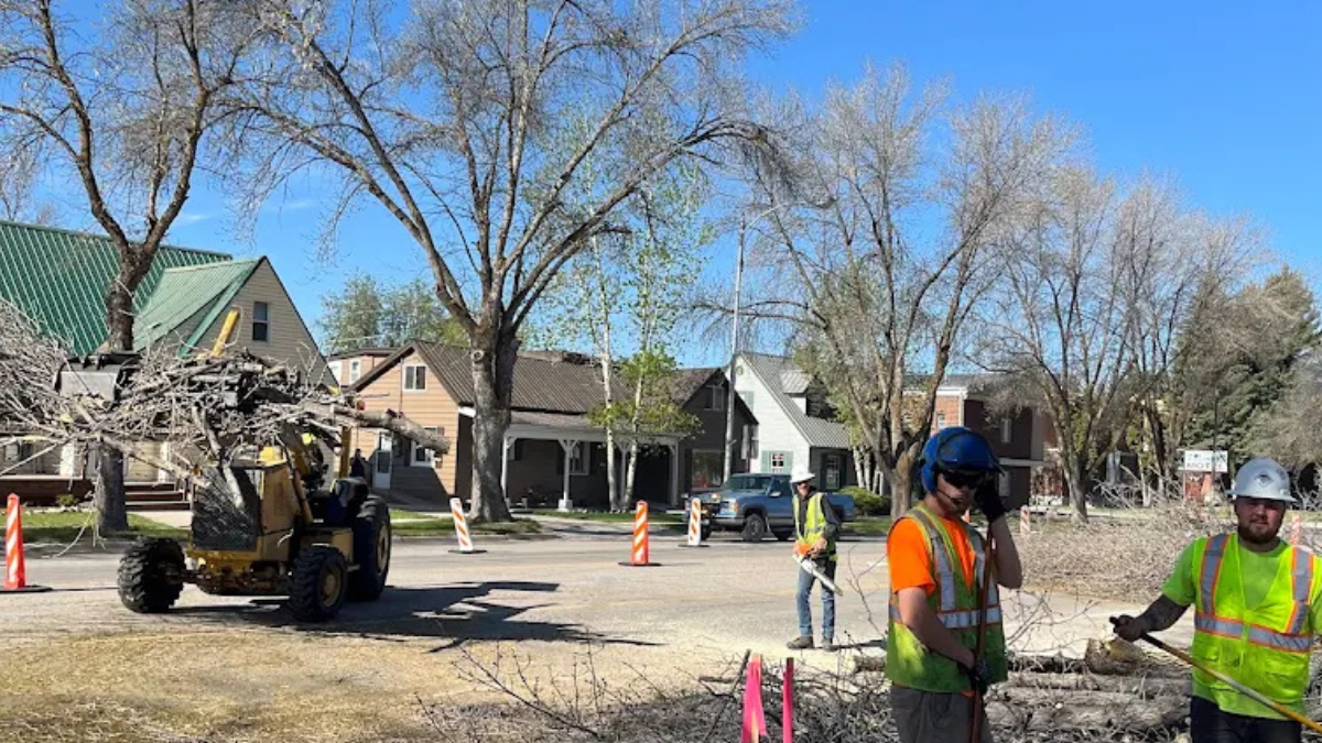 Diamond Tree Experts team using heavy equipment to clear branches and remove tree debris from a residential street in Salt Lake City, Utah, during a professional tree service operation.