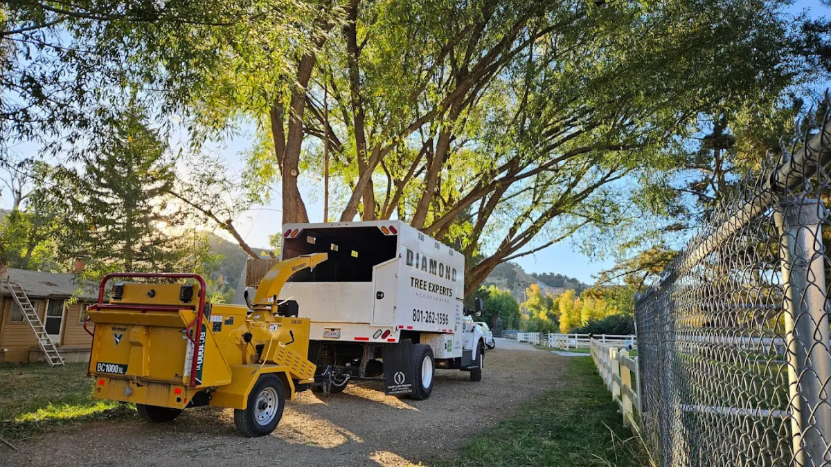 Diamond Tree Experts’ professional tree removal truck and yellow wood chipper parked under large trees at a residential property in Salt Lake City, Utah, ready for cleanup work