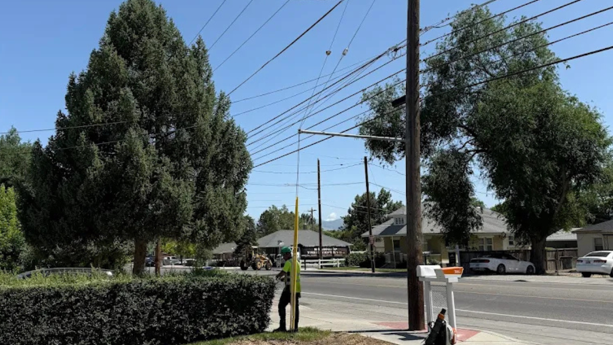 Diamond Tree Experts arborist performing tree trimming near power lines and roadside vegetation in a residential area of Salt Lake City, Utah, ensuring safety and clearance compliance.