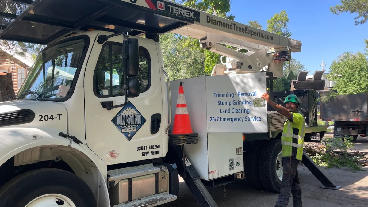 Diamond Tree Experts arborist standing beside a professional service truck labeled for trimming, removal, stump grinding, land clearing, and 24/7 emergency tree service in Salt Lake City, Utah.