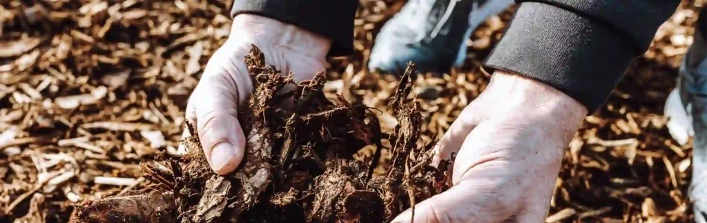 diamond tree experts chocolate mulch