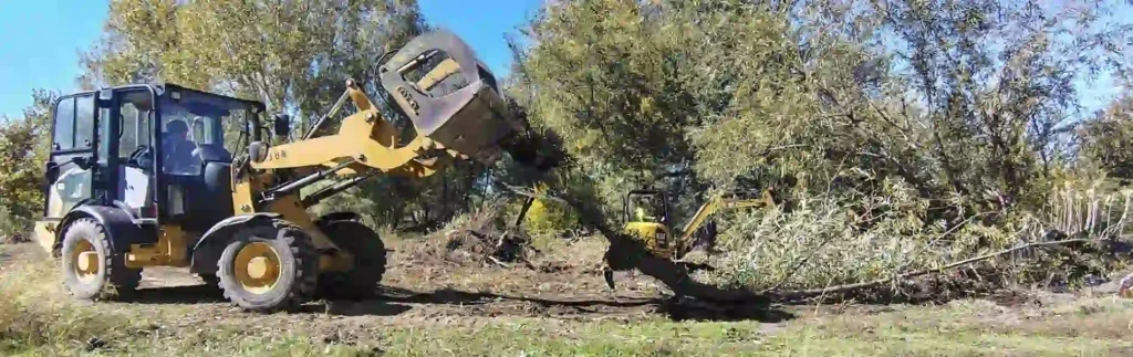 emergency tree service insurance claims for utah