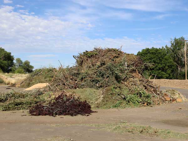 green waste dumping ogden