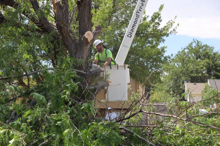 Diamond Tree Experts arborist in a bucket truck making selective cuts on large side branches in Kearns, Utah