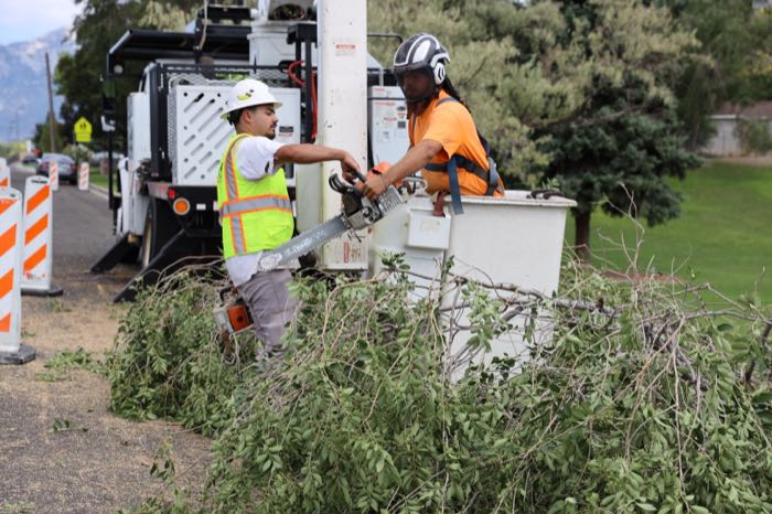 Tree Trimming & Vegetation Management Project in Lehi, Utah