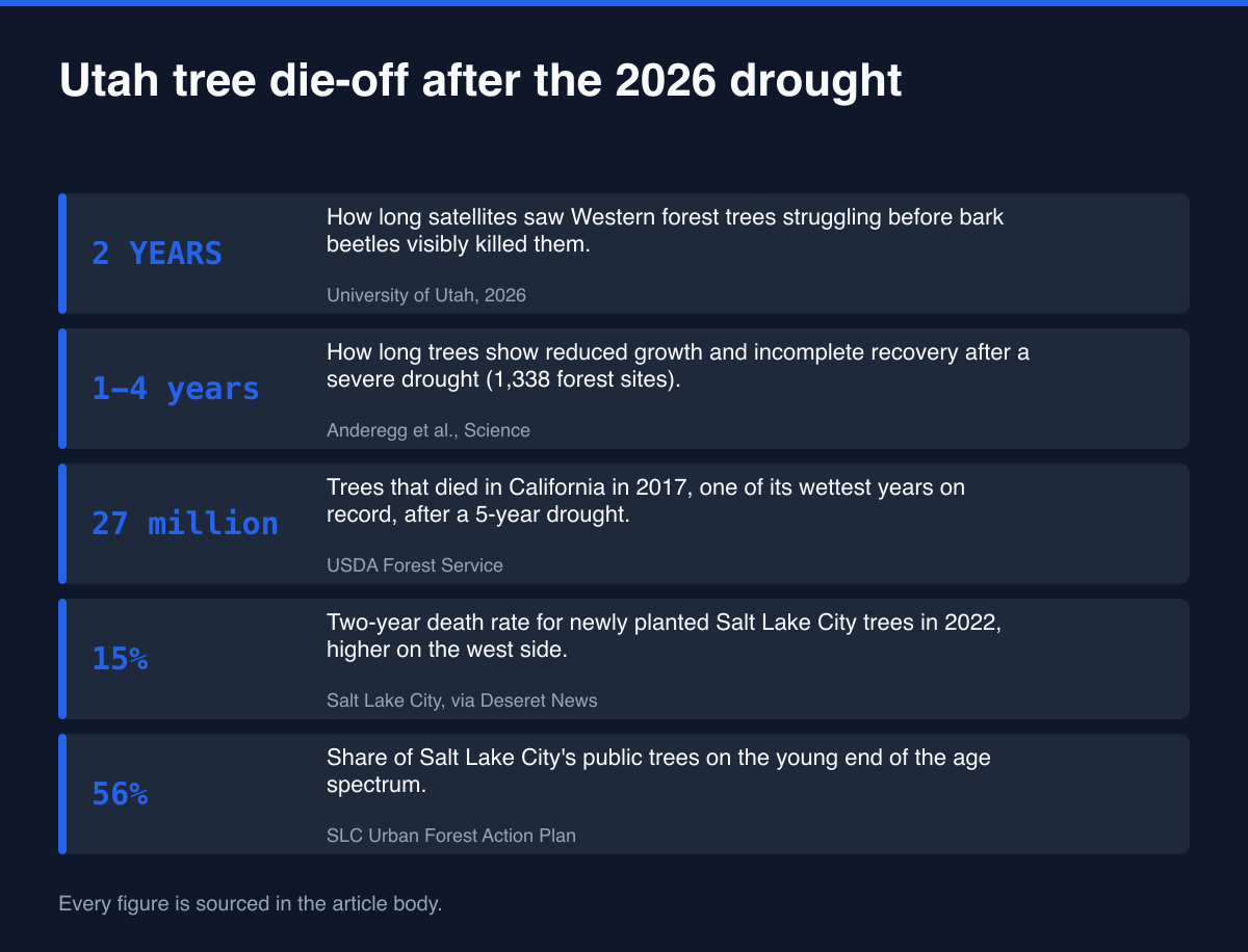 Key statistics: Utah Drought Tree Die-Off: Why the Losses Come After the Dry Year (2026)